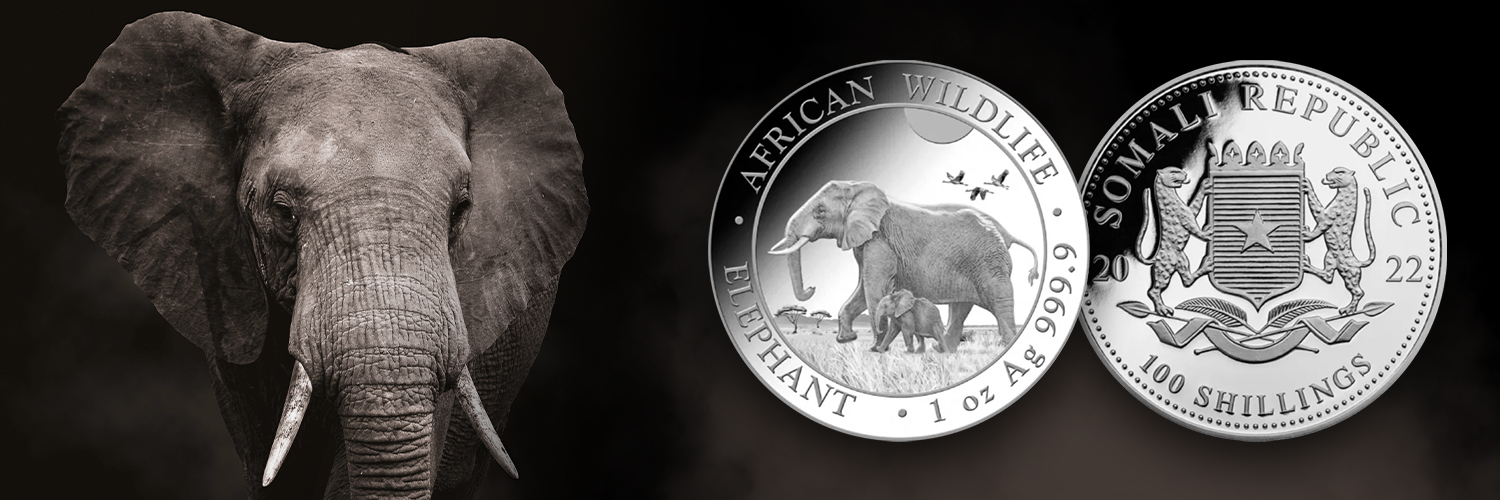 Ein Elefant und zwei Silbermünzen auf schwarzem Hintergrund. Eine Münze zeigt zwei Elefanten mit dem Schriftzug 'African Wildlife', die andere das Wappen der 'Somali Republic'.