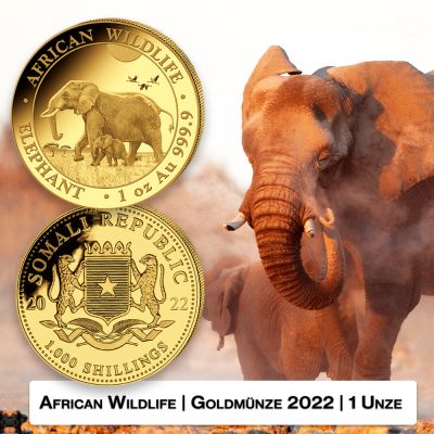 Zwei  Goldmünzen mit einem afrikanischen Elefantenmotiv aus dem Jahr 2022. Im Hintergrund sind Elefanten abgebildet.