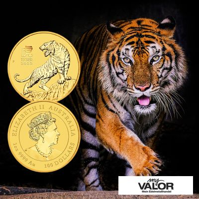 Zwei Goldmünzen mit einem Tiger auf der Vorderseite und dem Porträt von Königin Elizabeth II. auf er Rückseite. Daneben ist ein realer Tiger in Frontalansicht abgebildet.