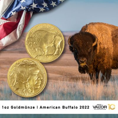Zwei Goldmünzen mit einem Porträt eines indigenen Amerikaners auf der Vorderseite. Auf der Rückseite sowie im Hintergrund ist ein amerikanischer Bison zu sehen.