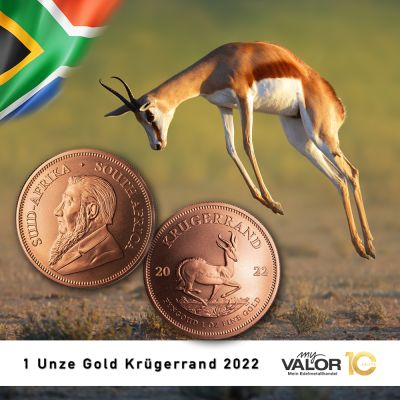 Zwei Goldmünzen mit dem Springbock-Motiv. Rechts daneben ist ein Foto eines Springbocks im Sprung zu sehen. Im Hintergrund ist die südafrikanische Flagge zu sehen.