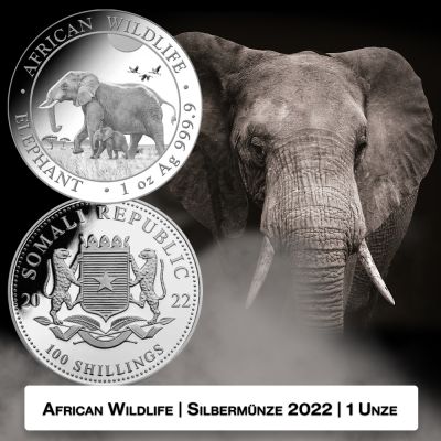 Zwei silberne Münzen mit einem afrikanischen Elefantenmotiv aus dem Jahr 2022 auf der Vorderseite und das Wappen der Somalia Republic auf der Rückseite. Im Hintergrund ist ein Elefant großflächig abgebildet.