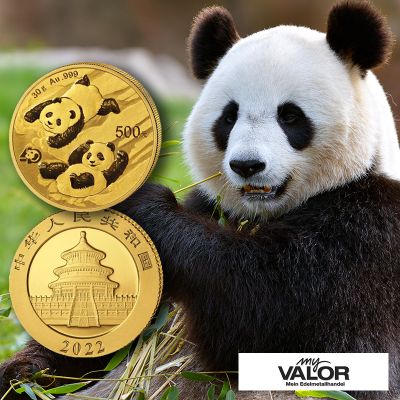 Zwei Goldmünzen mit Pandabären als Motiv. Daneben ist ein Foto eines sitzenden Pandas.