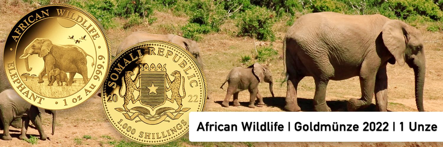 Bild einer afrikanischen Elefantenfamilie in der Wildnis. Im Vordergrund sind zwei goldene Sammlermünzen der Serie 'African Wildlife – Elephant' aus dem Jahr 2022 zu sehen. Die Münzen zeigen das Motiv eines Elefanten mit Kalb sowie das Wappen der Somali Republic. Darunter steht der Text: 'African Wildlife | Goldmünze 2022 | 1 Unze'.